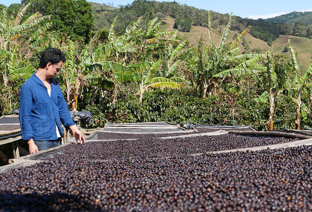 Fair Trade vs. Direct Trade Coffee SEED Peoples Market