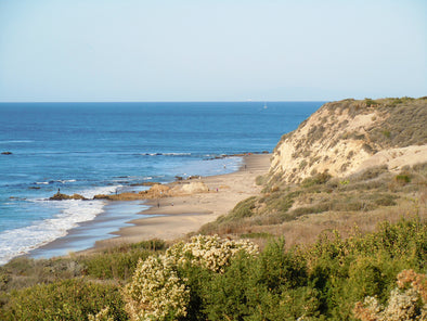 Venture Out and HIke!