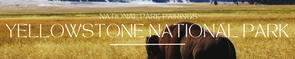 yellowstone national park clothing