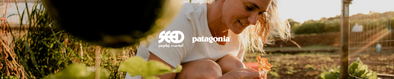 PATAGONIA WOMENS SHIRTS