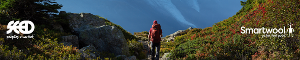 Smartwool socks