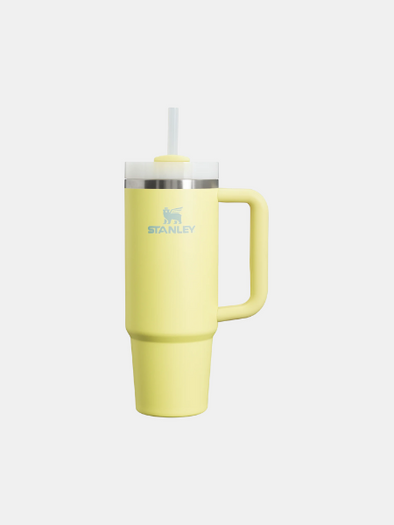 STANLEY THE QUENCHER H2.0 FLOWSTATE™ TUMBLER - 30 OZ