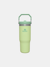 STANLEY THE ICEFLOW™ FLIP STRAW TUMBLER - 30 OZ