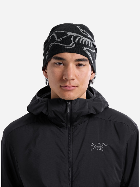 Arc'teryx Lightweight Bird Head Toque Beanie Arc'teryx Lightweight Bird Head Toque Beanie