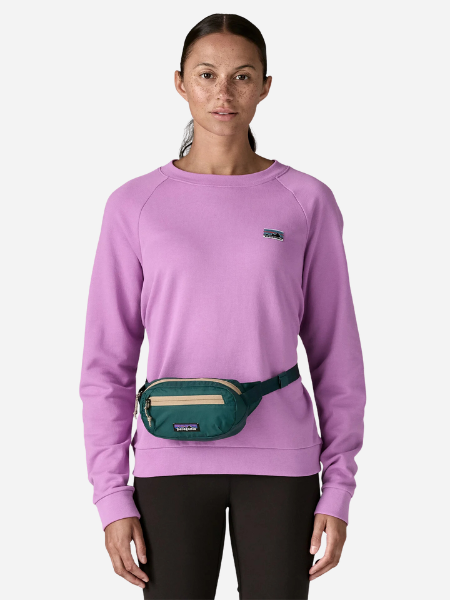 Patagonia Terravia Mini Hip Pack: 
Cascade Green
