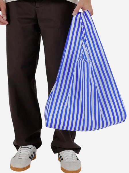 Baggu Standard Baggu: 
Blue Painted Stripe