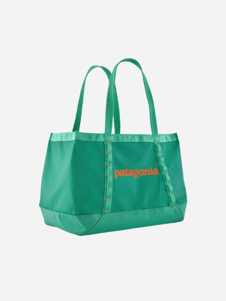 Patagonia Black Hole Tote 25L
