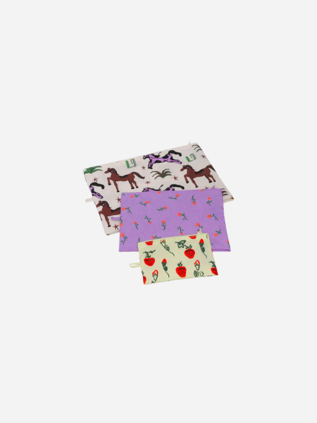 BAGGU Go Pouch Set: Painted Prairie