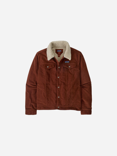 Patagonia Men's Pile-Lined Trucker Jacket: Dried Vanilla 