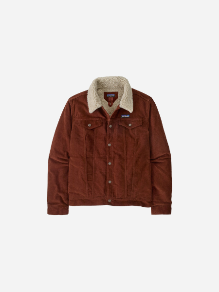 Patagonia Men's Pile-Lined Trucker Jacket: Dried Vanilla 