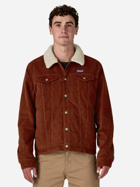 Patagonia Men's Pile-Lined Trucker Jacket: Dried Vanilla 