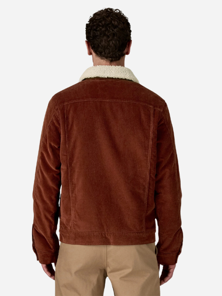 Patagonia Men's Pile-Lined Trucker Jacket: Dried Vanilla 