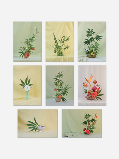 BROCCOLI WEED IKEBANA POSTCARD PRINT SET