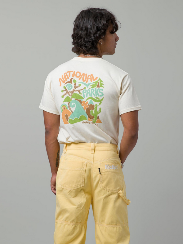 PARKS PROJECT NATIONAL PARKS WHIRLED POCKET TEE