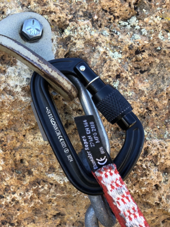BLACK DIAMOND LITEFORGE SCREWGATE CARABINER