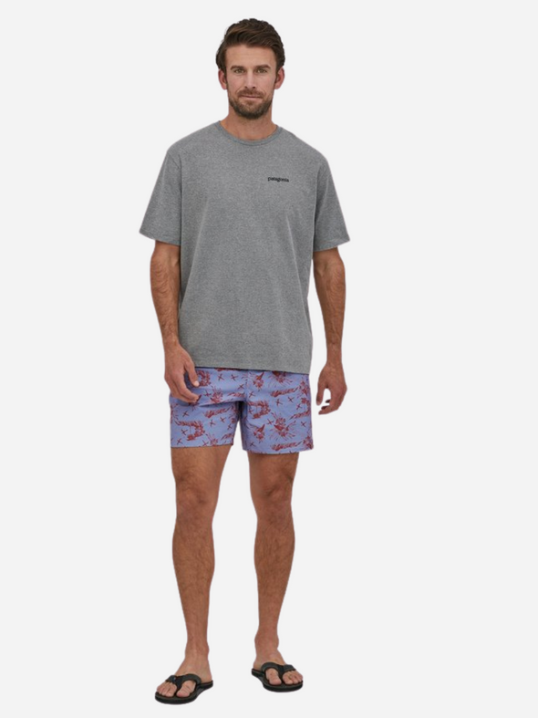 PATAGONIA MEN'S HYDROPEAK VOLLEY SHORTS 16IN