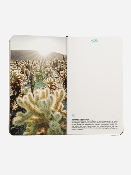 CALIFORNIA VISUAL NOTEBOOK