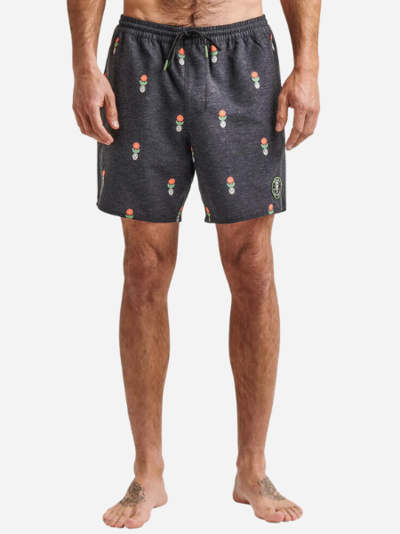 ROARK MEN'S SHOREY BOARDSHORTS 16"